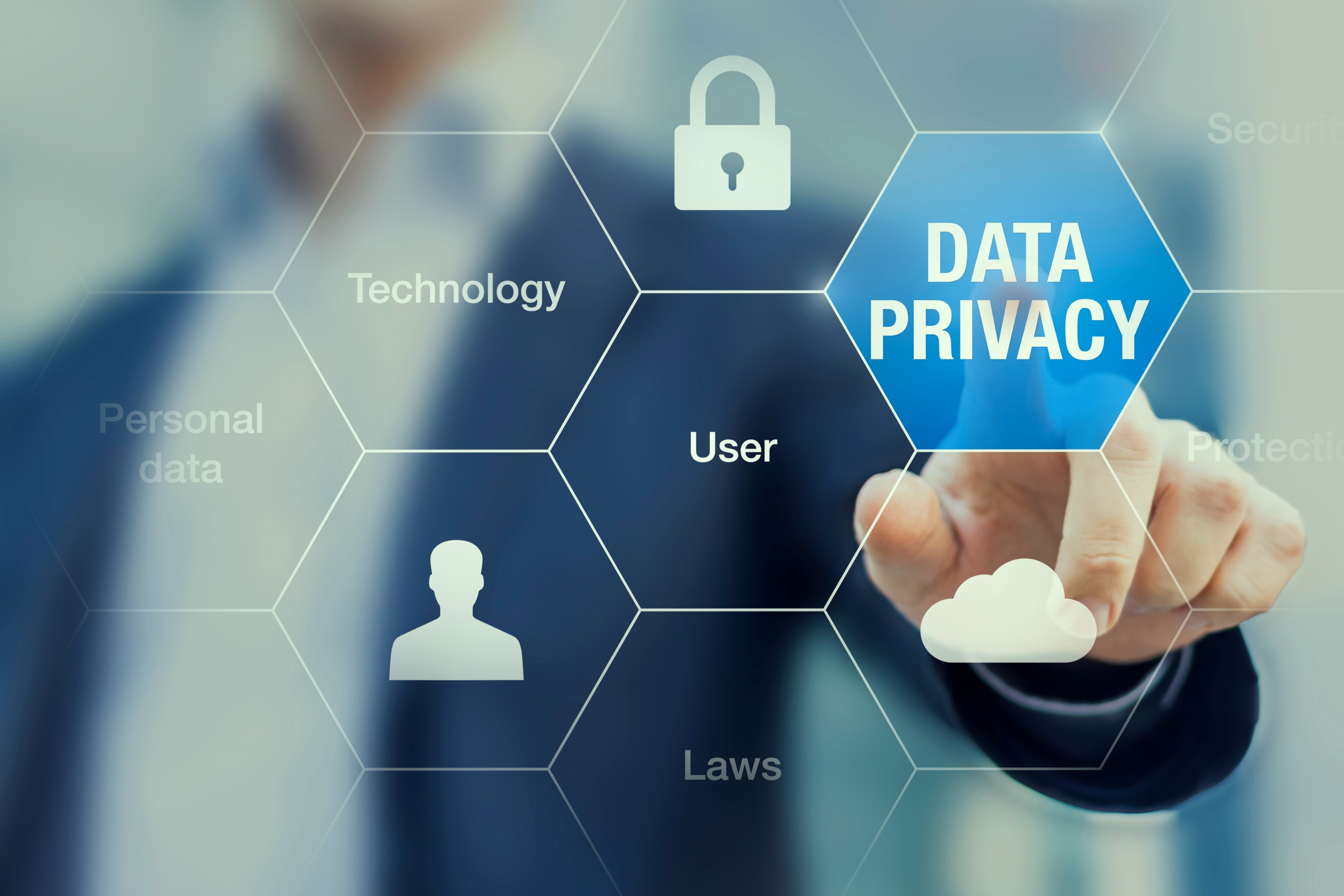 Data Privacy Subjects image